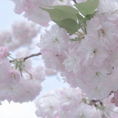 筠连FurryQQ群介绍